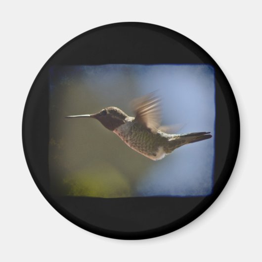 Hummingbird in vlucht magneet (Voorkant)