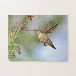 Hummingbird in vlucht met aangestoken puzzel