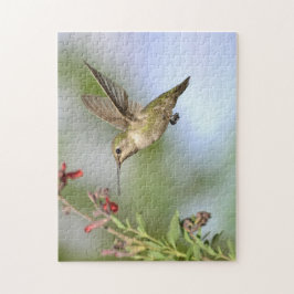 Hummingbird in vlucht met aangestoken puzzel