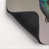 Hummingbird in vlucht muismat (Hoek)