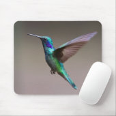 Hummingbird in vlucht muismat (Met muis)