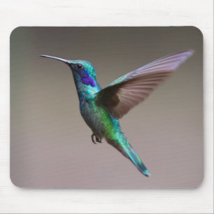 Hummingbird in vlucht muismat
