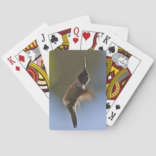 Hummingbird in vlucht pokerkaarten (Achterkant)