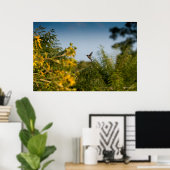Hummingbird in vlucht poster (Thuiskantoor)