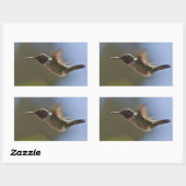 Hummingbird in vlucht rechthoekige sticker (Vel)