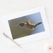Hummingbird in vlucht rechthoekige sticker (Envelop)