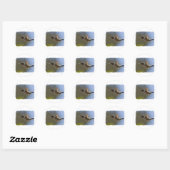 Hummingbird in vlucht ronde sticker (Vel)