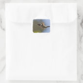 Hummingbird in vlucht ronde sticker (Tas)