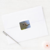 Hummingbird in vlucht ronde sticker (Envelop)