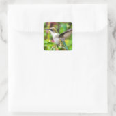 Hummingbird in vlucht vierkante sticker (Tas)