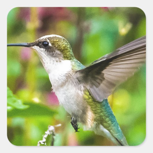 Hummingbird in vlucht vierkante sticker (Voorkant)