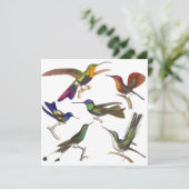 Hummingbird Invitation - 6 Beauful Hummingbird Kaart (Staand voorkant)