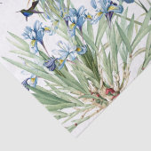 Hummingbird Iris Starflower Flower Tissuepapier (Detail)