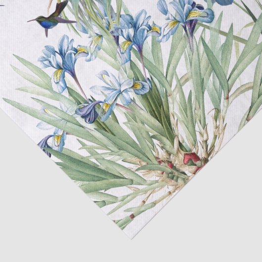 Hummingbird Iris Starflower Flower Tissuepapier (Detail)