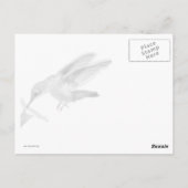 Hummingbird Kaarten omwoeld (Achterkant)