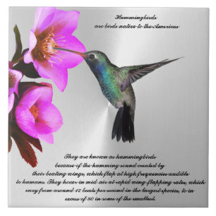HUMMINGBIRD keramisch teile Tegeltje