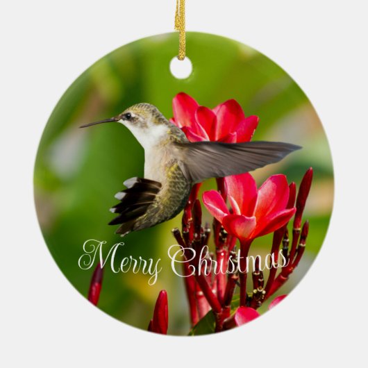 Hummingbird kerstversiering keramisch ornament (Achterkant)
