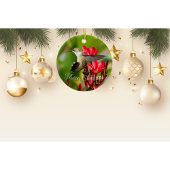 Hummingbird kerstversiering keramisch ornament