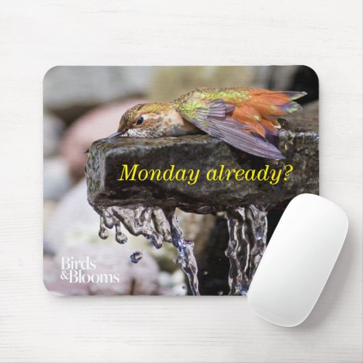 Hummingbird Laing in Water 2 Muismat (Met muis)