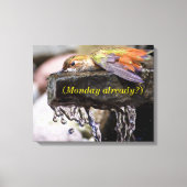 Hummingbird Laing in Water Canvas Afdruk (Voorkant)