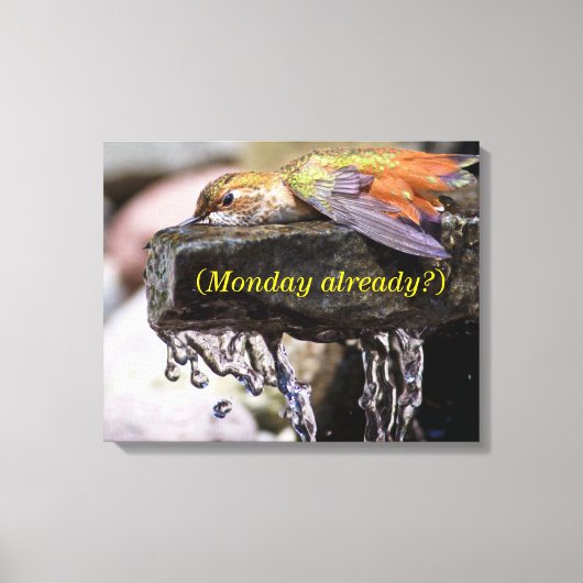 Hummingbird Laing in Water Canvas Afdruk (Voorkant)