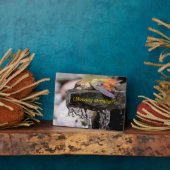 Hummingbird Laing in Water Fotoplaat (Zijkant)