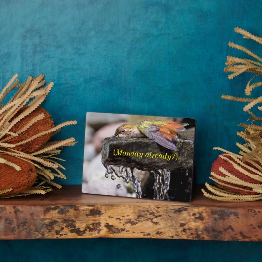 Hummingbird Laing in Water Fotoplaat (Zijkant)