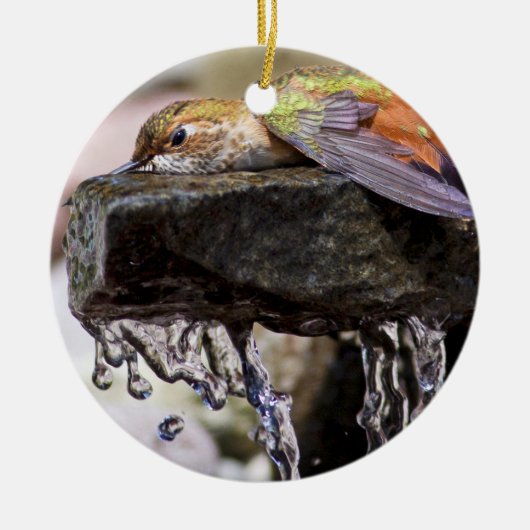 Hummingbird Laing in Water Keramisch Ornament (Voorkant)