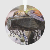 Hummingbird Laing in Water Ornament (achterkant)