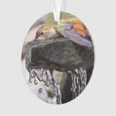 Hummingbird Laing in Water Ornament (voorkant)