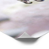 Hummingbird Laing in Water Poster (Hoek)