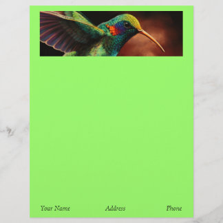 Hummingbird Letterhead Briefhoofd