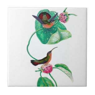 Hummingbird Love Tegeltje