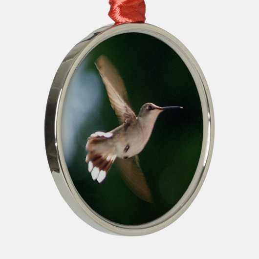 Hummingbird Lover Ornament (Rechts)