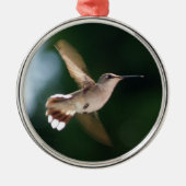 Hummingbird Lover Ornament (Voorkant)