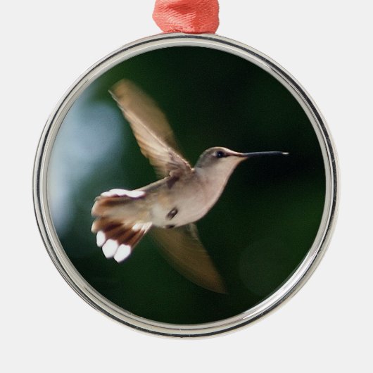 Hummingbird Lover Ornament (Voorkant)