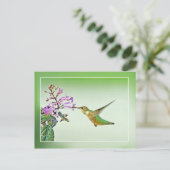 Hummingbird Lunch Briefkaart (Staand voorkant)