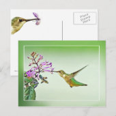 Hummingbird Lunch Briefkaart (Voorkant / Achterkant)