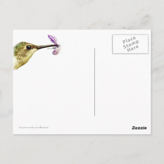 Hummingbird Lunch Briefkaart (Achterkant)