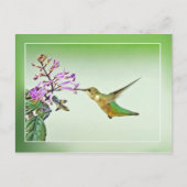 Hummingbird Lunch Briefkaart (Voorkant)
