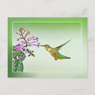 Hummingbird Lunch Briefkaart