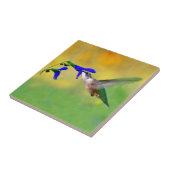 Hummingbird Lunch Tegeltje (Zijkant)