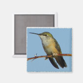 Hummingbird. Magneet (Voorkant / Achterkant)