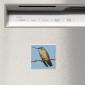 Hummingbird. Magneet (Insitu (Vaatwasser))