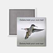 Hummingbird Magnet (Voorkant / Achterkant)