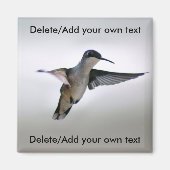 Hummingbird Magnet (Voorkant)