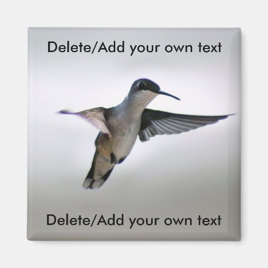 Hummingbird Magnet (Voorkant)