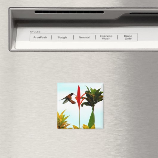 Hummingbird Magnet (Insitu (Vaatwasser))