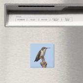 Hummingbird Magnet (Insitu (Vaatwasser))