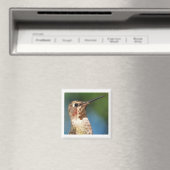 Hummingbird Magnet (Insitu (Vaatwasser))